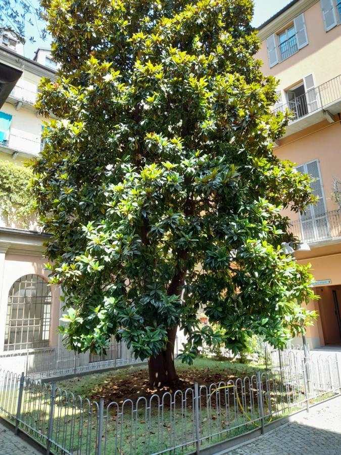 טורינו Central Garibaldi Loft, A Piedi A Palazzo Reale מראה חיצוני תמונה